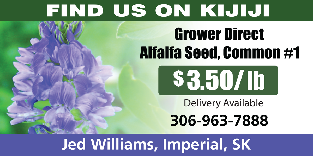 Jed Williams alfalfa seed